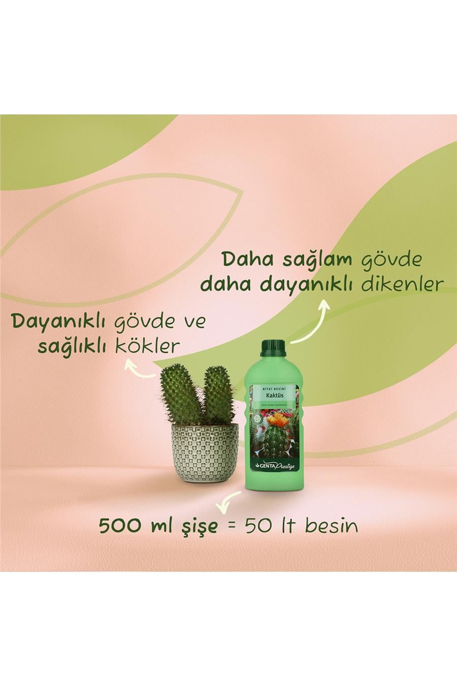Genta Prestige Kaktüs Bitkil Besini 500 ml