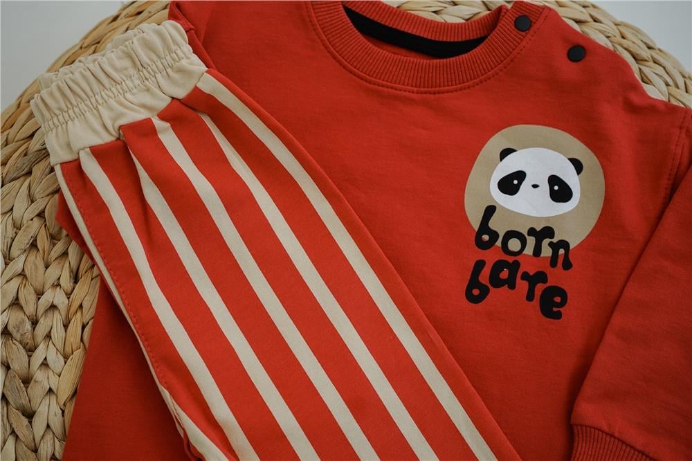Kırmızı Panda Baskılı Erkek Bebek Takım