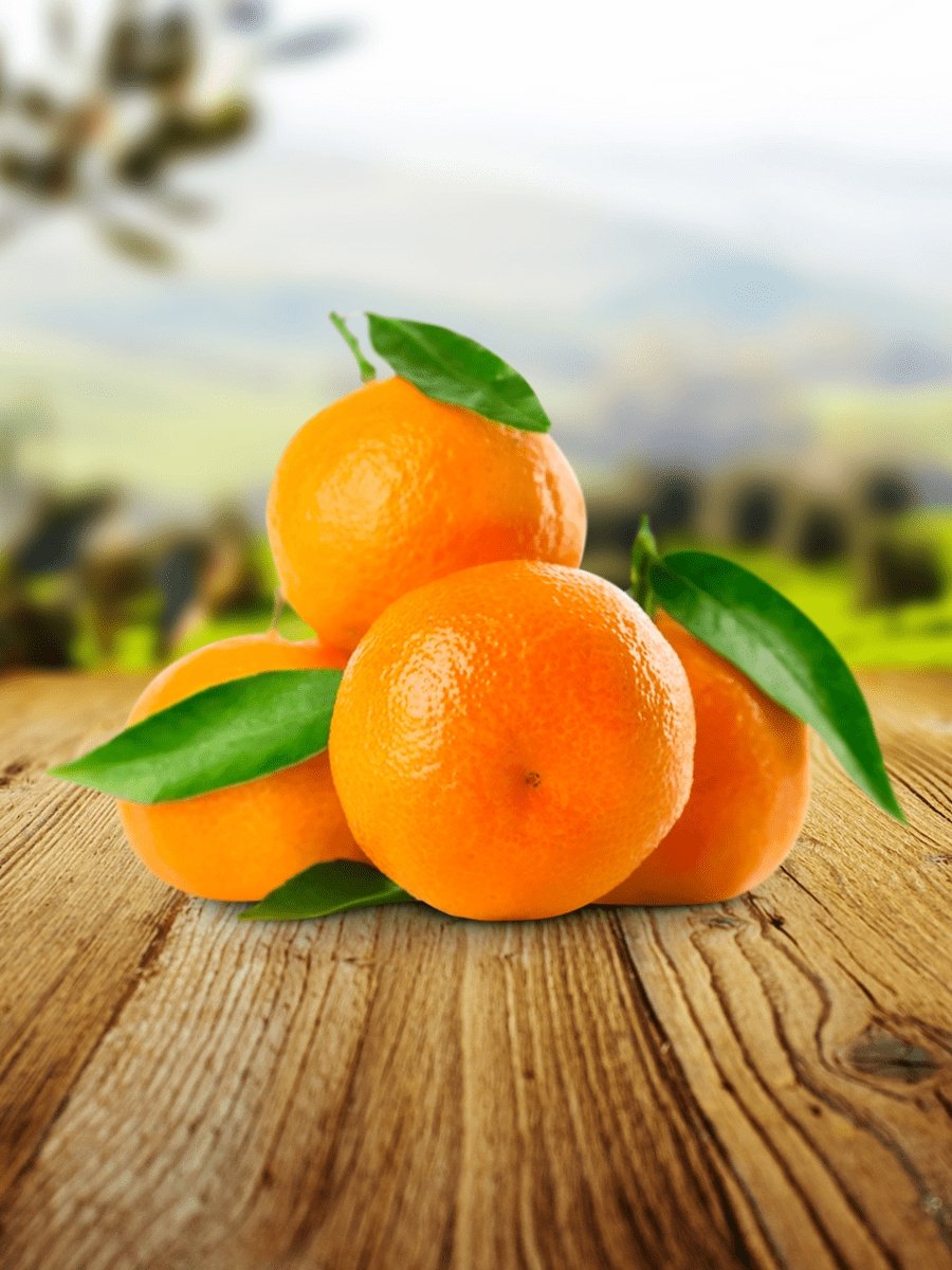 1 Kg Taze Mandalina Anamur Mandalinası Akdeniz Mandalinası