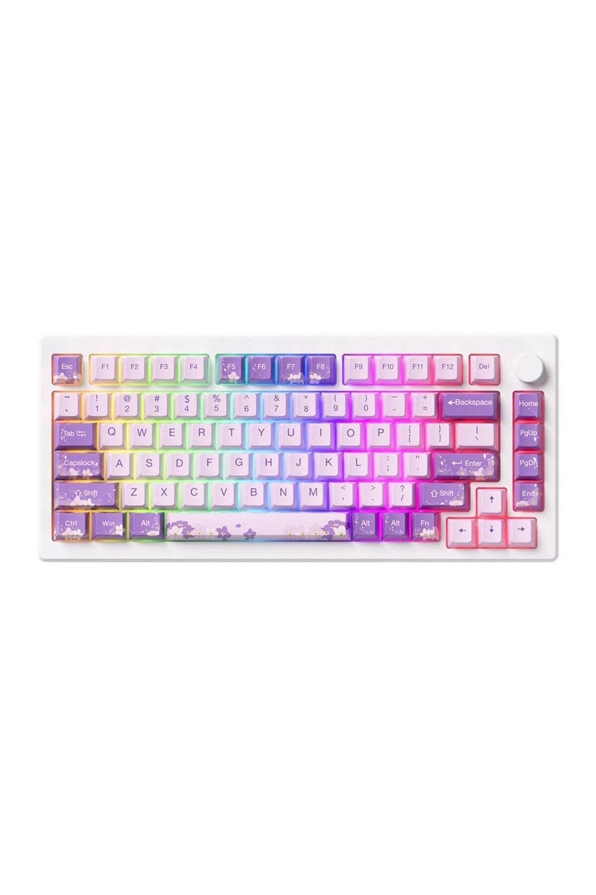 akko-mod-007-he-pc-purple-melody-hall--01-1b8.jpg