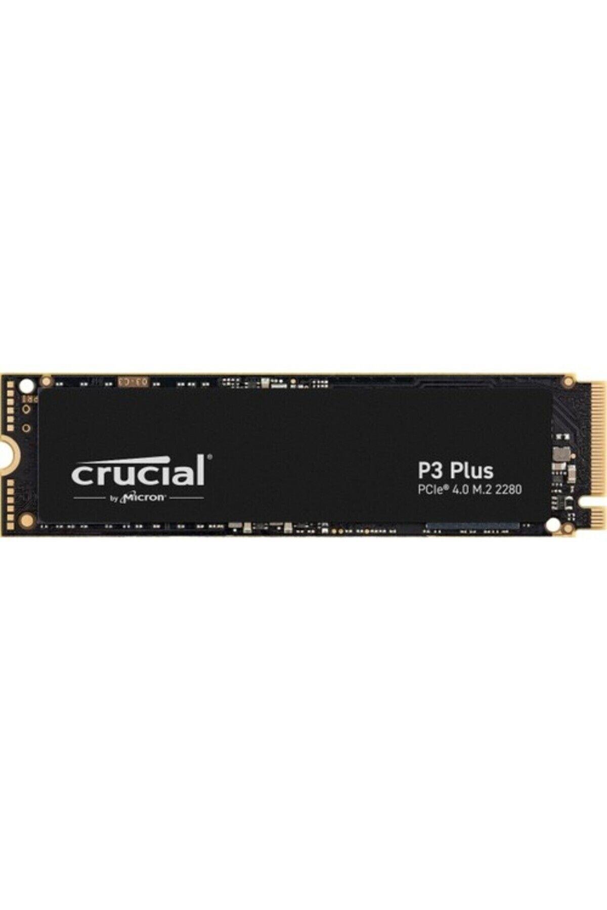 crucial-e0a3a9.jpg