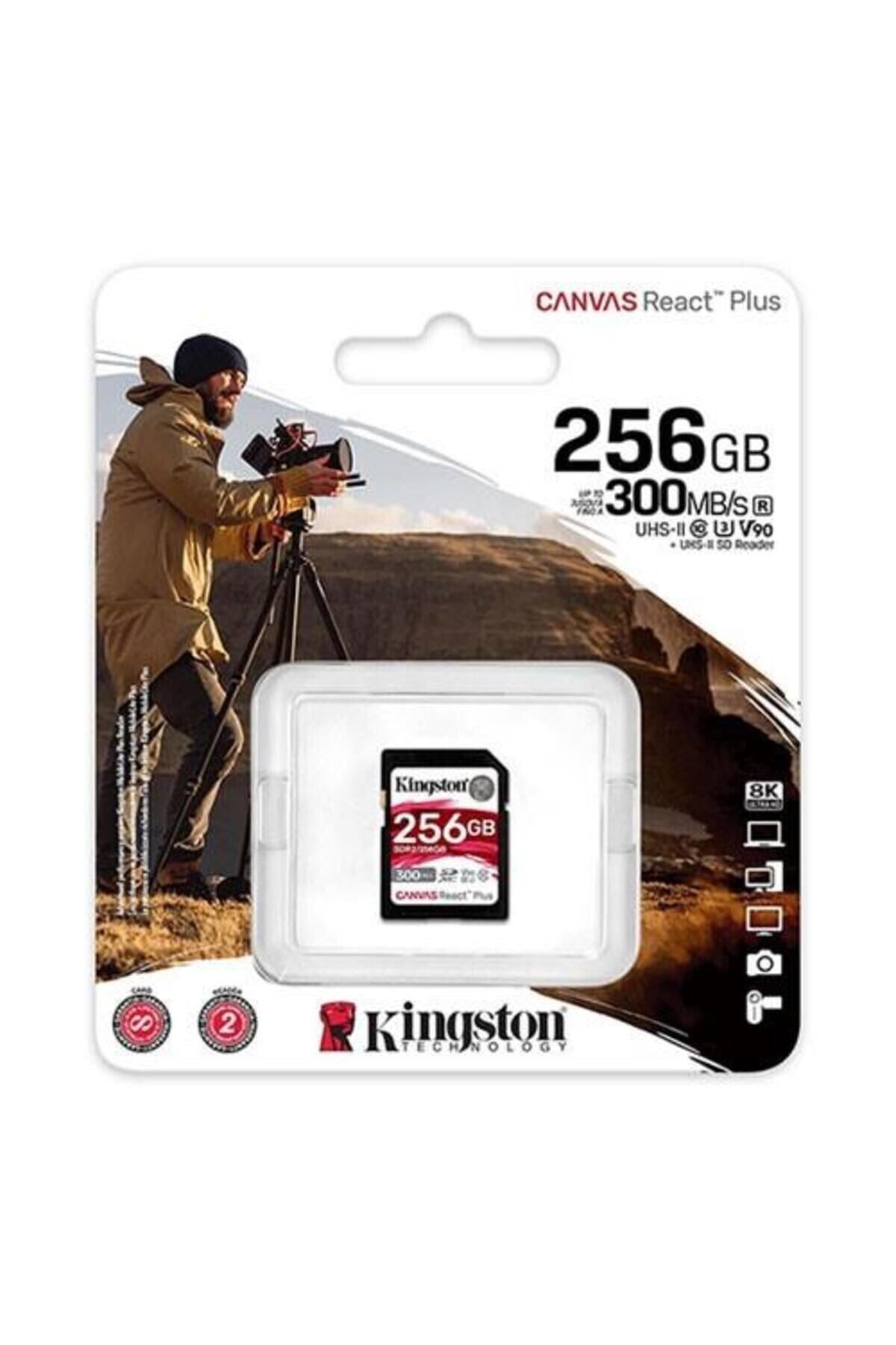 kingston-256gb-canvas-react-plus-sd-ha-44-92b.jpg