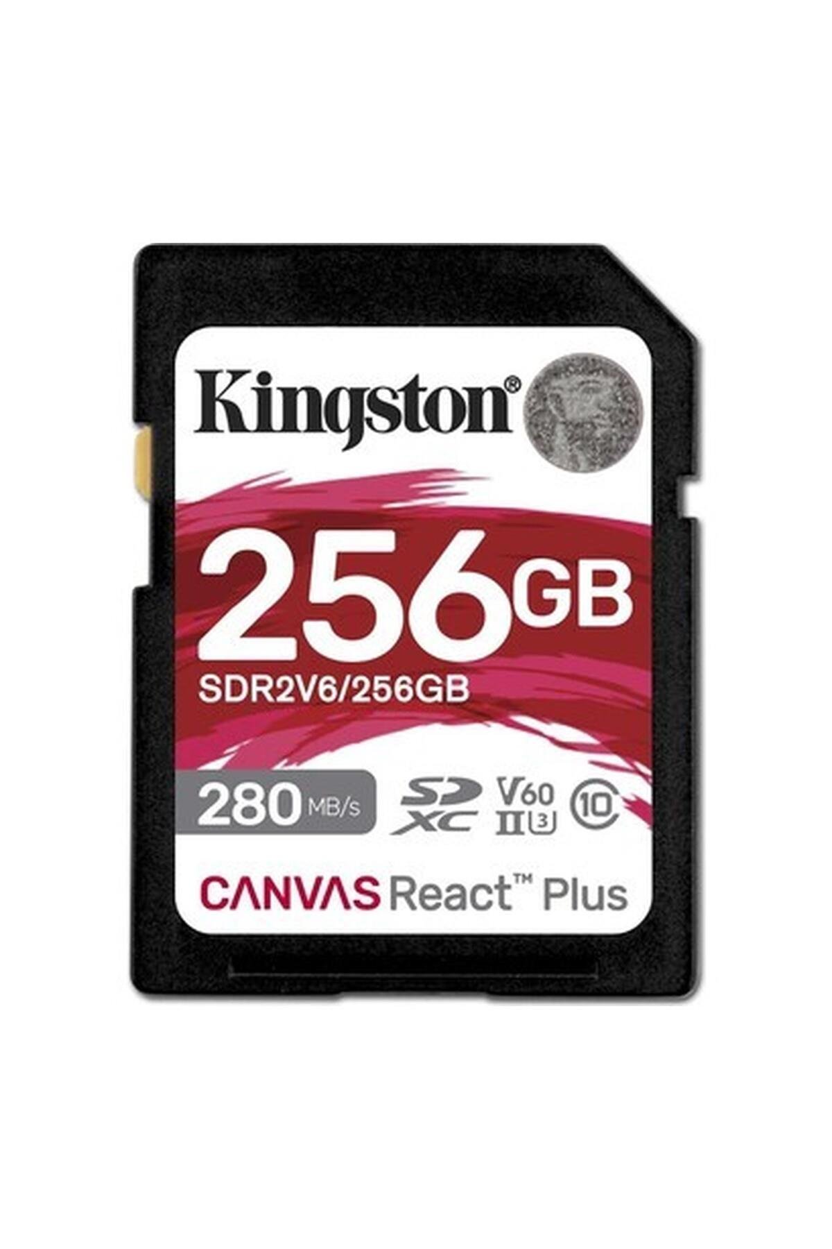 kingston-sdr2v6256gb-256-gb-280-150mbs-35-42f.jpg