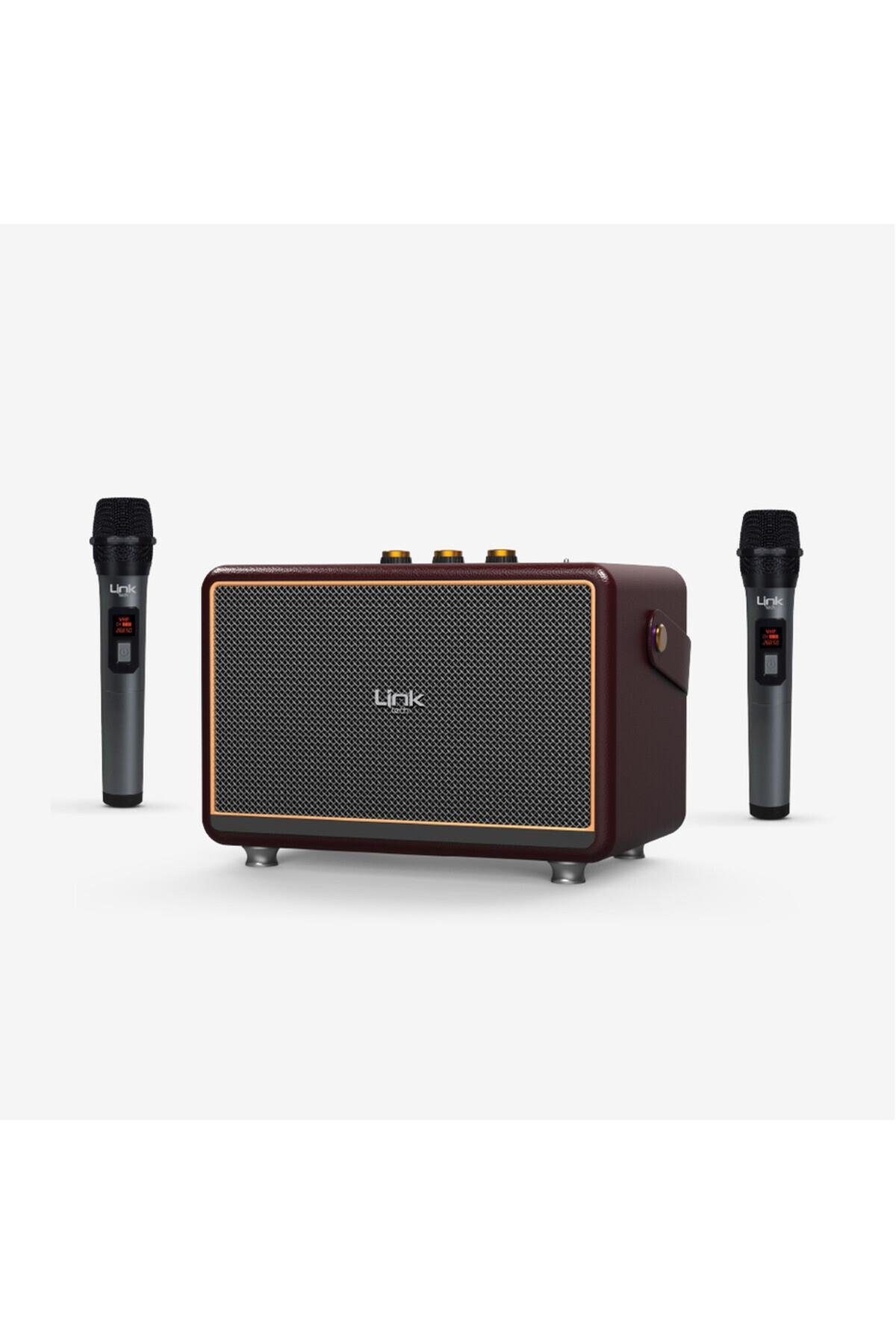 m407-premium-cift-mikrofonlu-50w-retro-4161-9.jpg