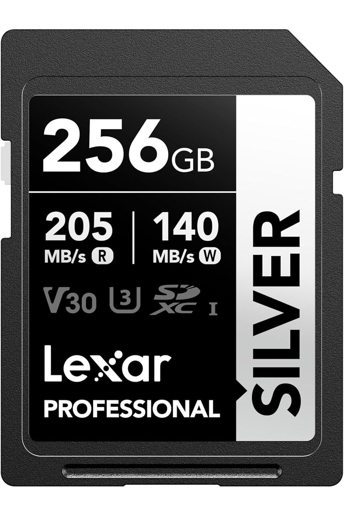 profesyonel-silver-sd-kart-256-gb-205--8-6c2f.jpg