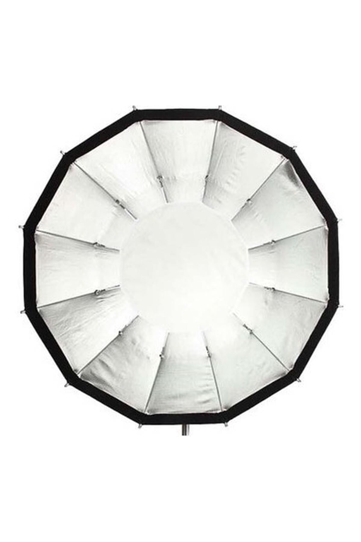 rime-lite-dodecagon-speedbox-95cm-a0e2ce.jpg