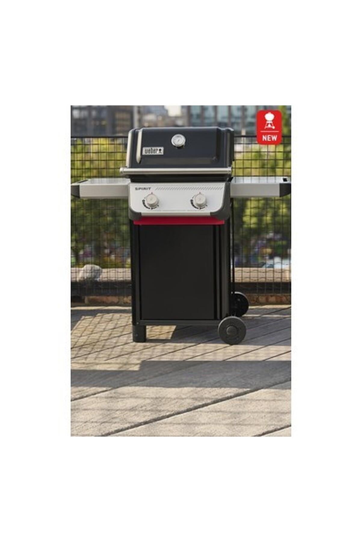 weber-spirit-2025-gazli-barbekumangal--ef646c.jpg