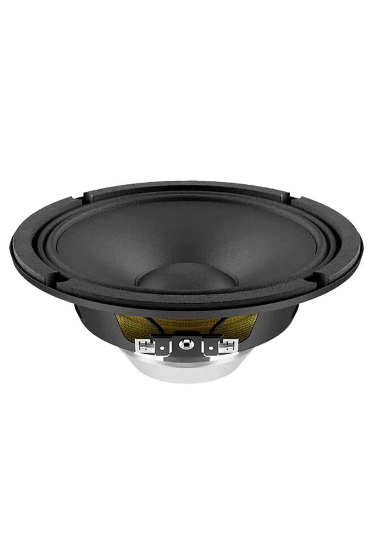 wsn061.52-65-100w-ciplak-hoparlor-fb447-.jpg