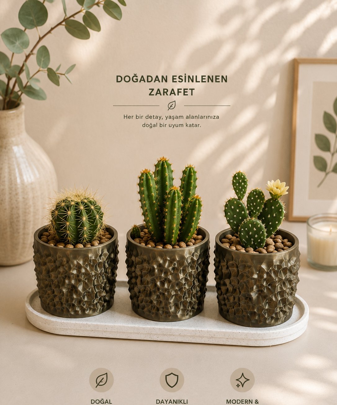 Dekoratif Saksı Seti