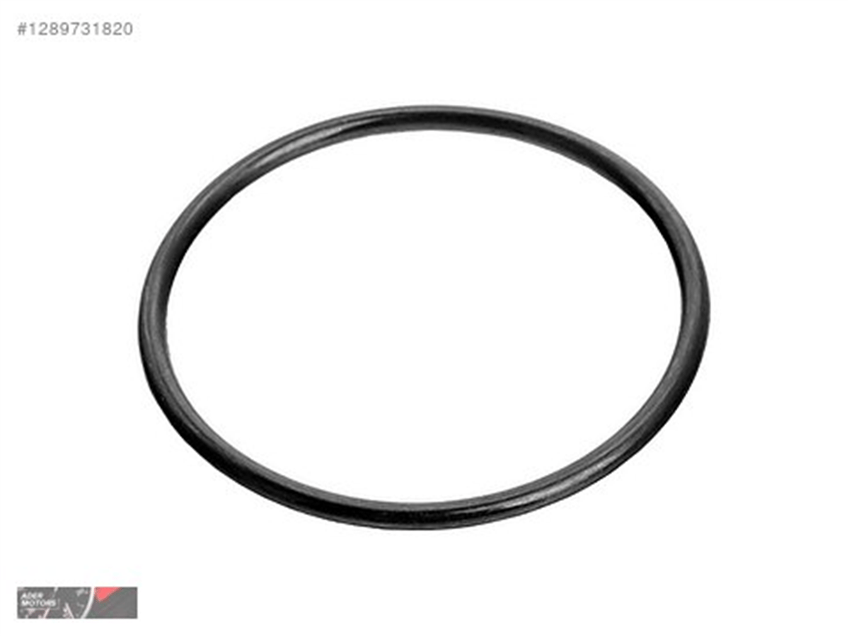 BMW E46-E87-E90-E91-E92-E93-E60-E61-E63-E65-E66-X3 E83-X5 E70-X6 E71 2003-2015 VAKUM POMPA O-RINGI 11667794767