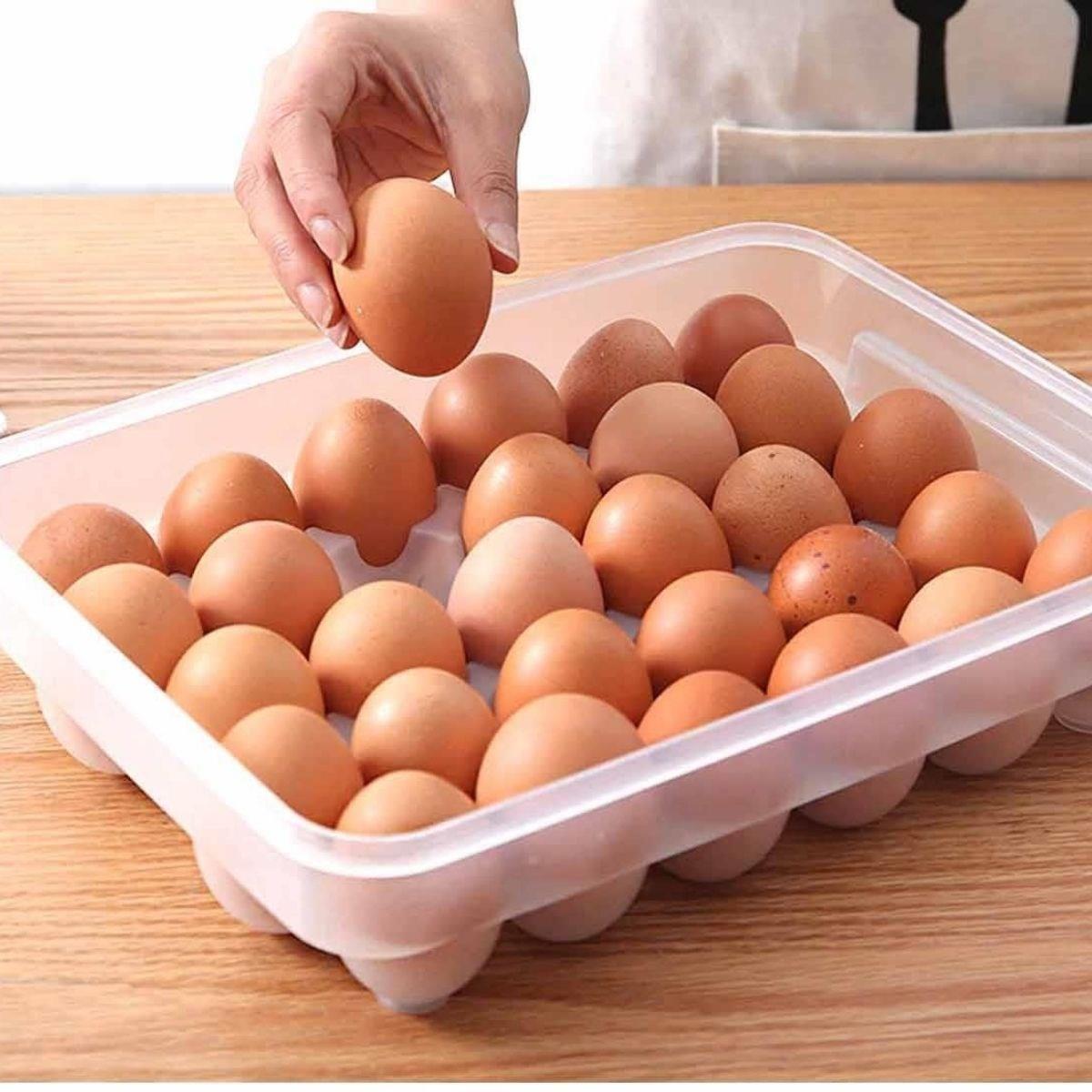Çarşı Point® 30lu Yumurta Saklama Kabı