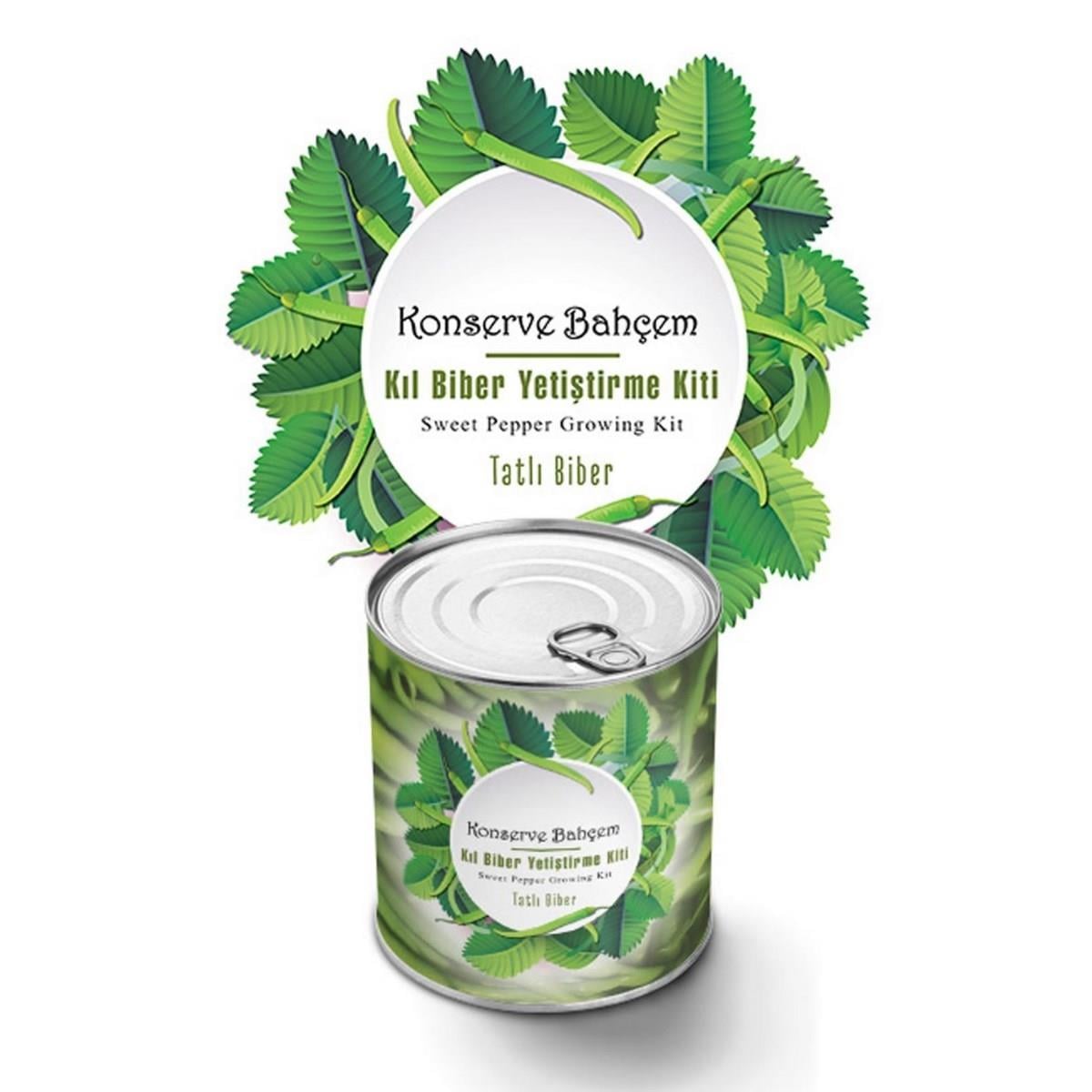 Çarşı Point® Konserve Bahçem Evde Konservede Tatlı Sivri Biber Yetiştirme Kiti