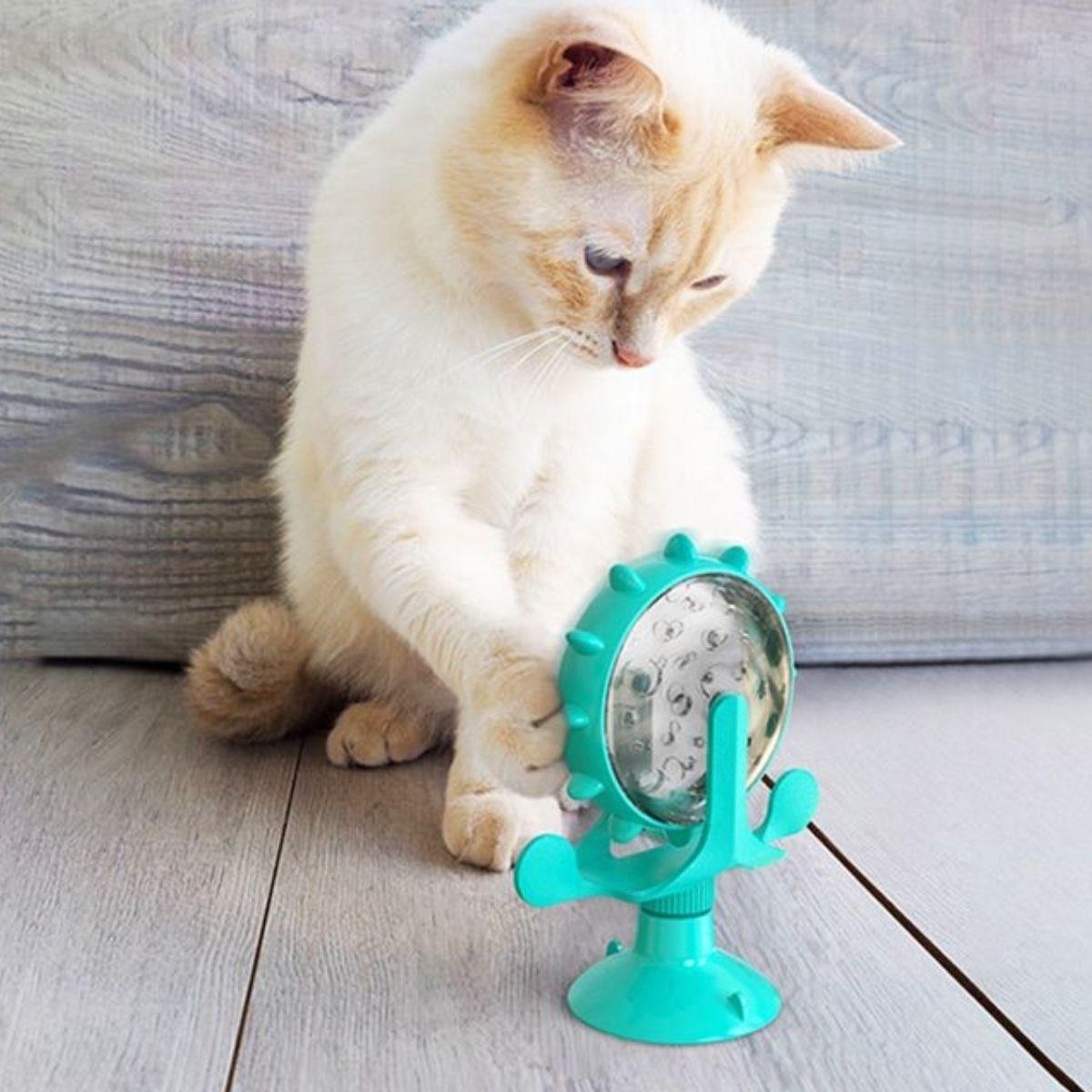 Çarşı Point® Vantuzlu Zilli İnteraktif Dönebilen Mama Kaplı Renkli Eğlenceli Eğitici Kedi Oyuncağı