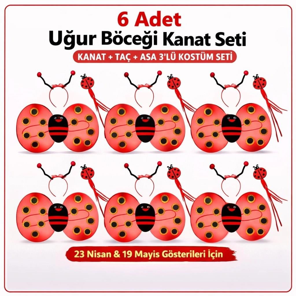 Mey İthalat® 6'lı Uğur Böceği Kostüm Seti – Kanat Taç Asa