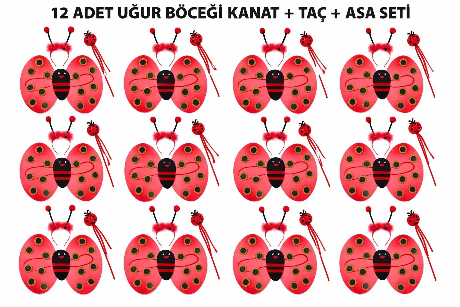 Mey İthalat® Uğur Böceği Kostüm Seti - Kanat Taç Asa 3 Parça 12 Adet