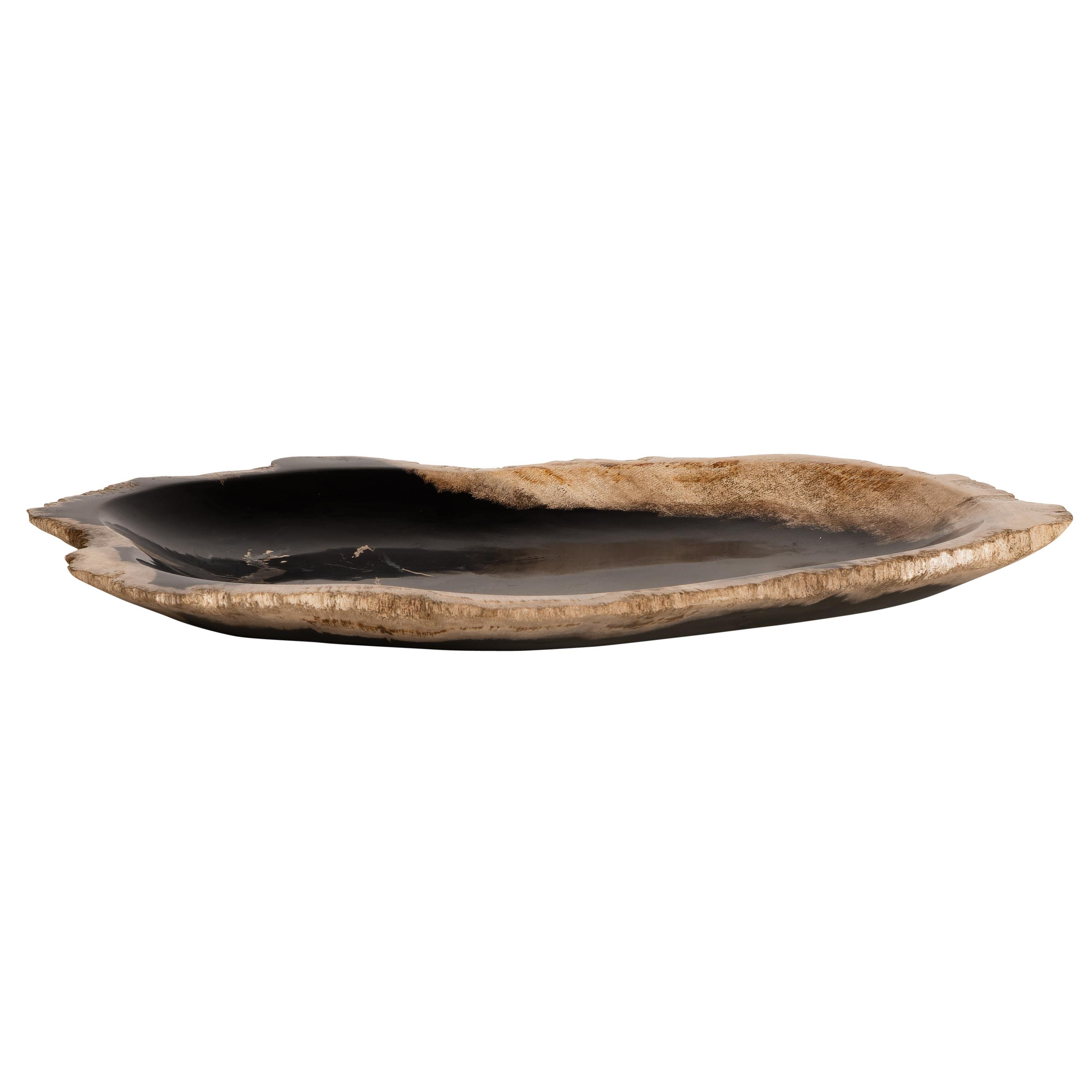 Dekoratif Bowl Fosil Ağaç -26 cm x 16 cm x 2 cm