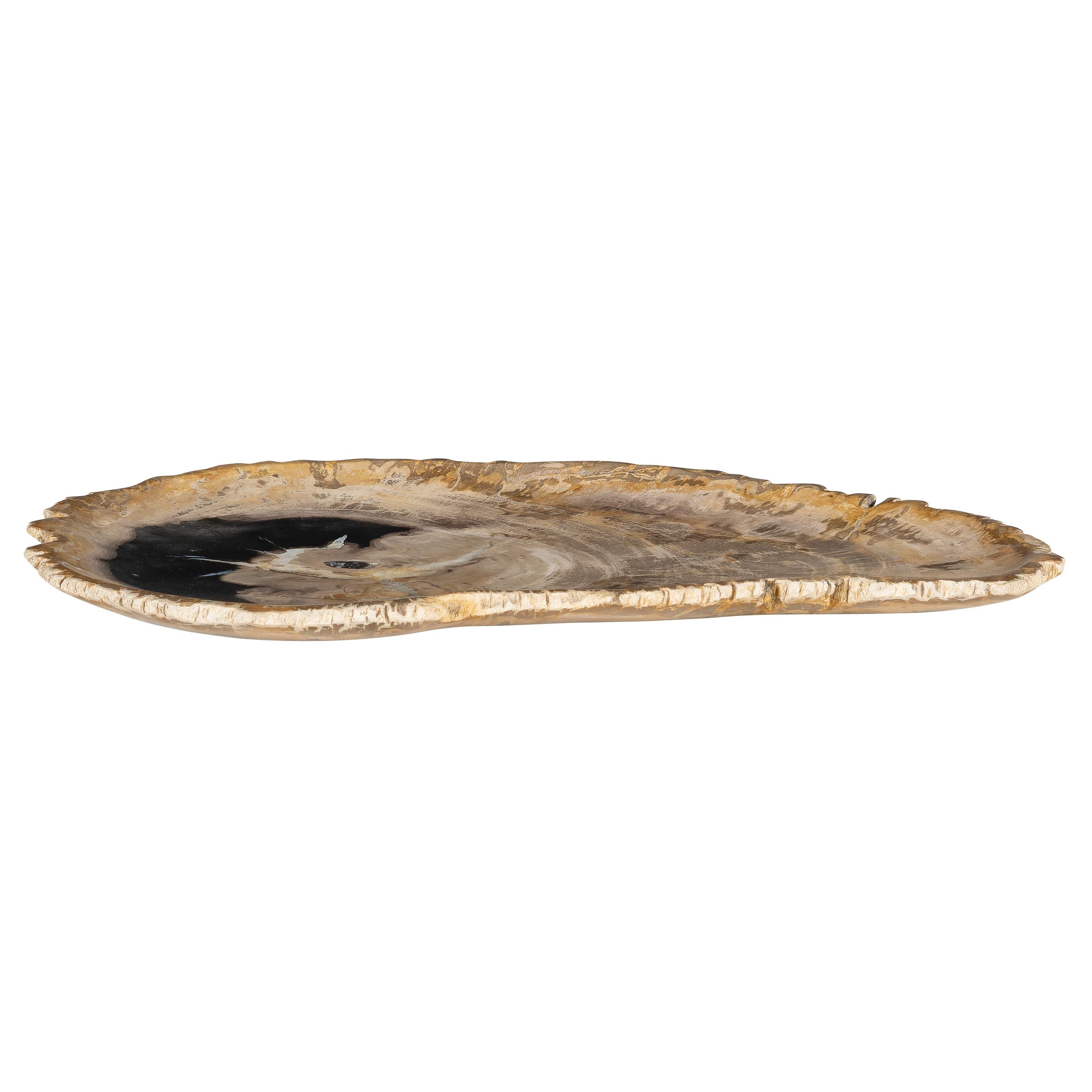 Dekoratif Bowl Fosil Ağaç -38 cm x 25 cm x 2 cm