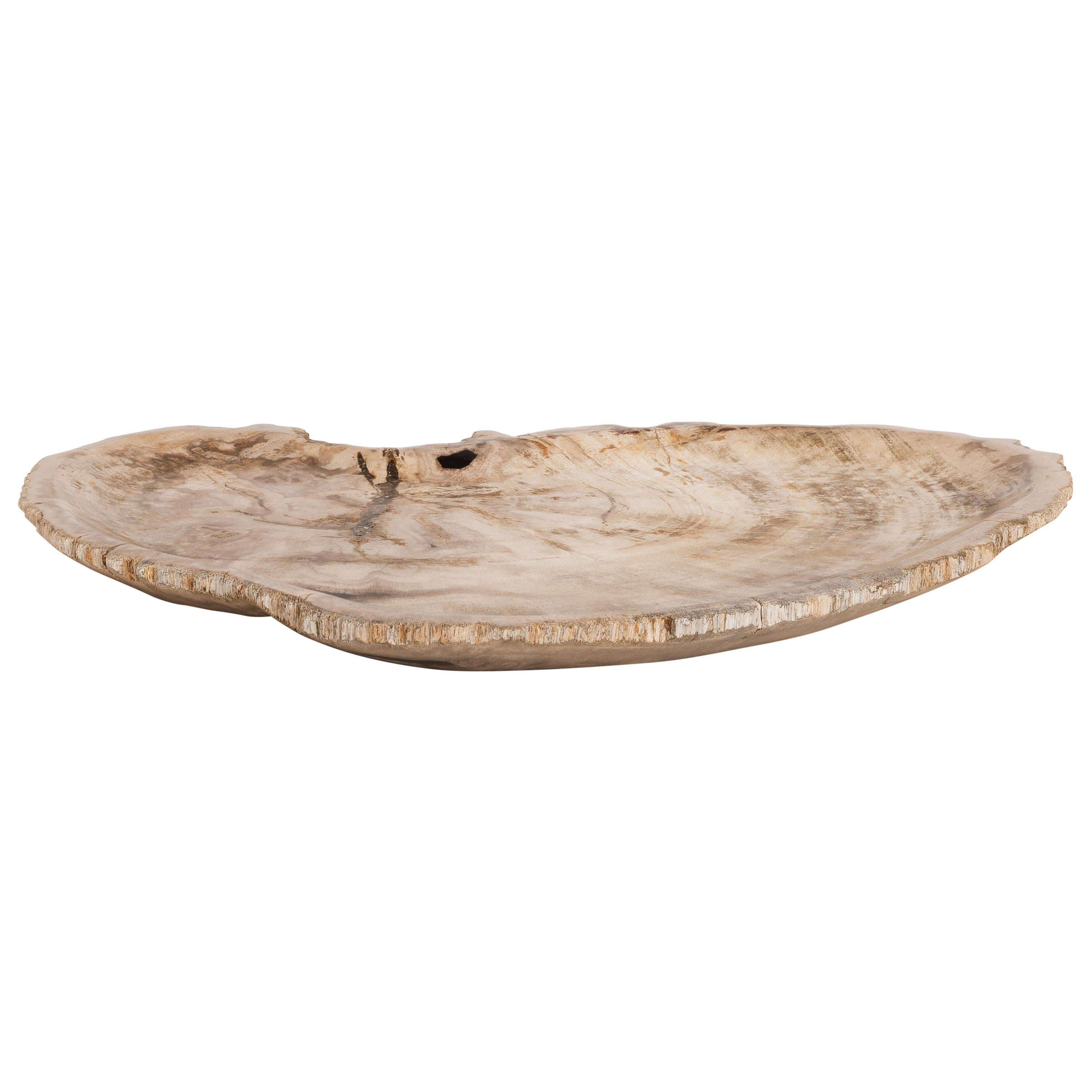 Dekoratif Bowl Fosil Ağaç -43 cm x 30 cm  x 4 cm