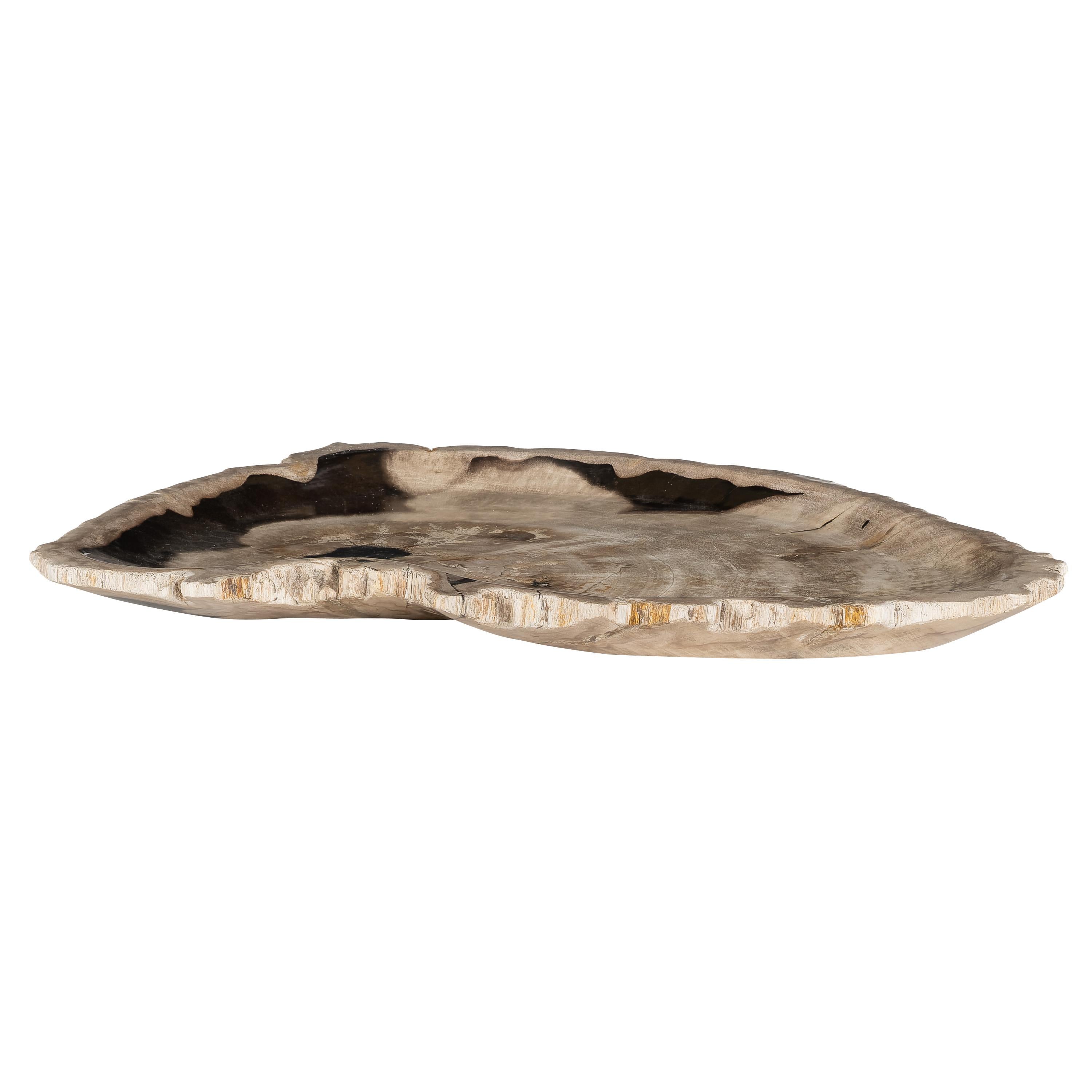 Dekoratif Bowl Fosil Ağaç -43 cm x 30 cm  x 4 cm