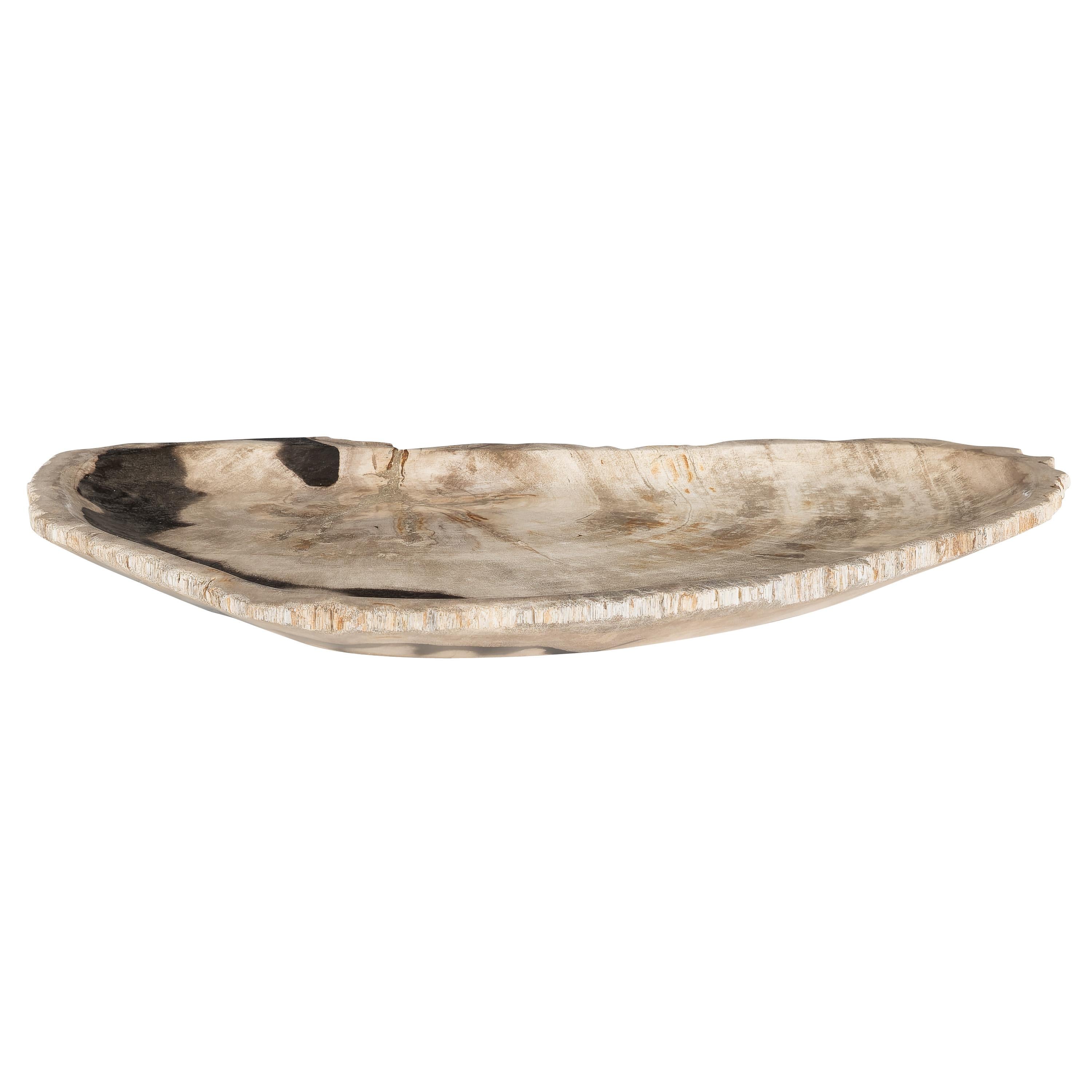 Dekoratif Bowl Fosil Ağaç -43 cm x 30 cm  x 4 cm