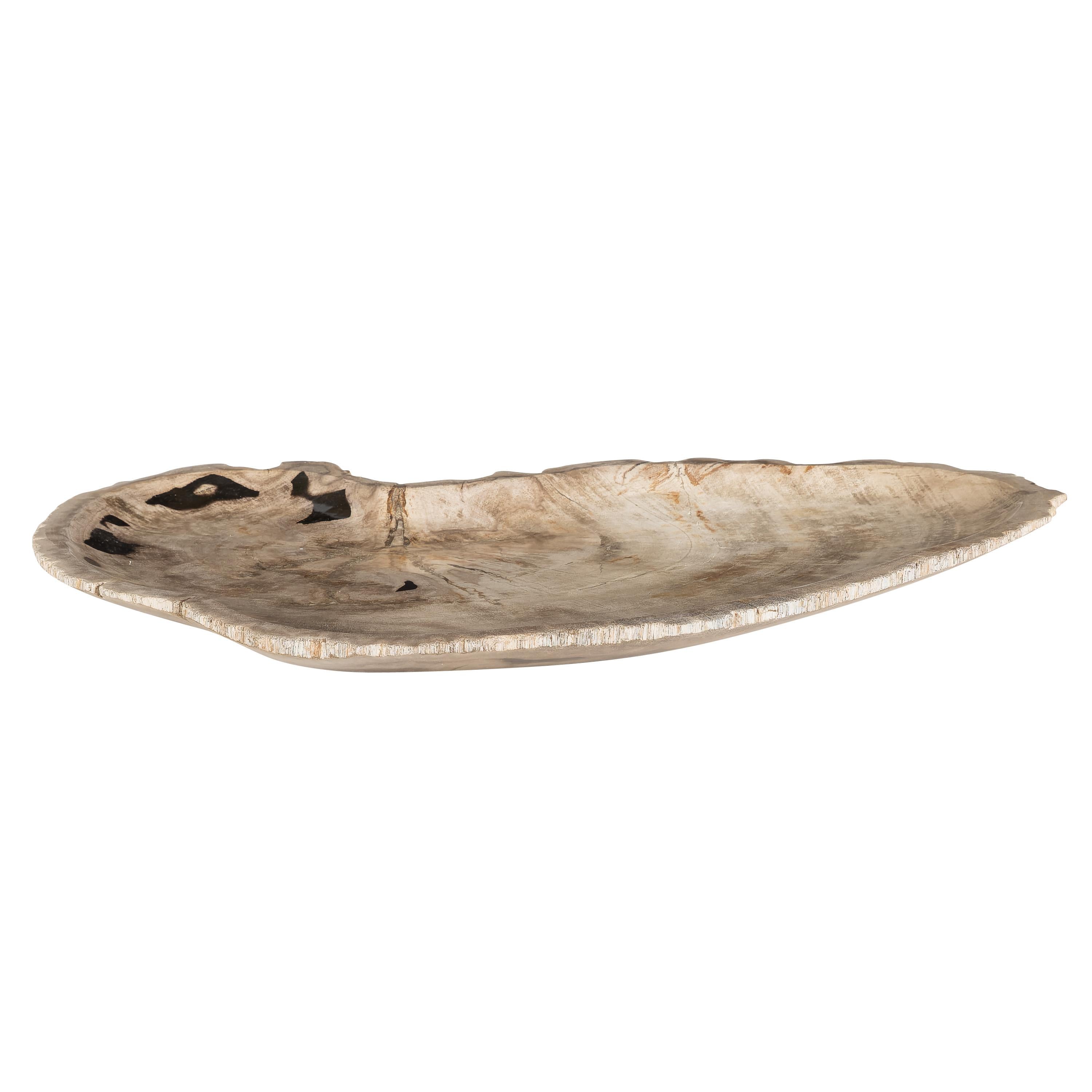 Dekoratif Bowl Fosil Ağaç -43 cm x 30 cm  x 4 cm