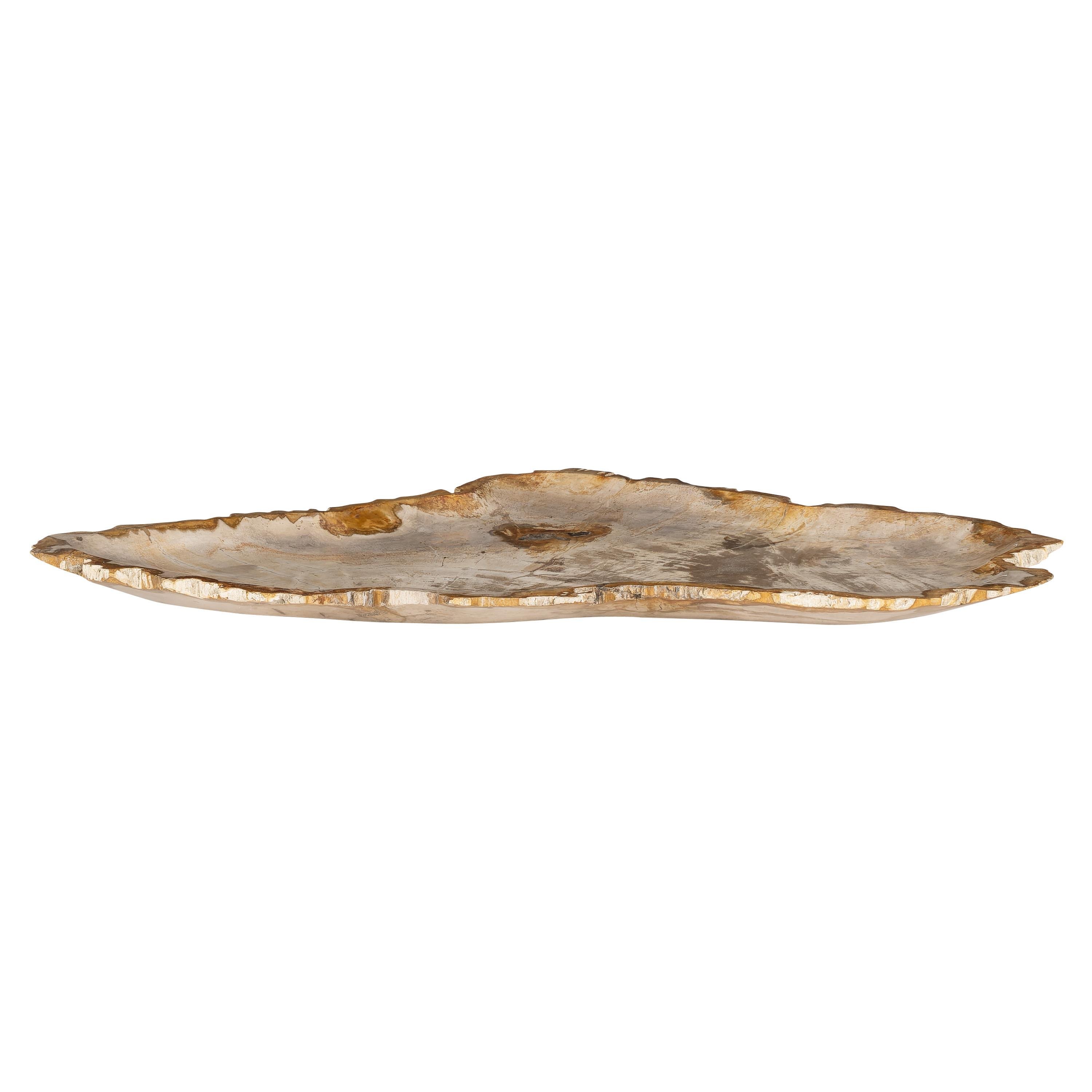 Dekoratif Bowl Fosil Ağaç -58 cm x 37 cm x 3 cm
