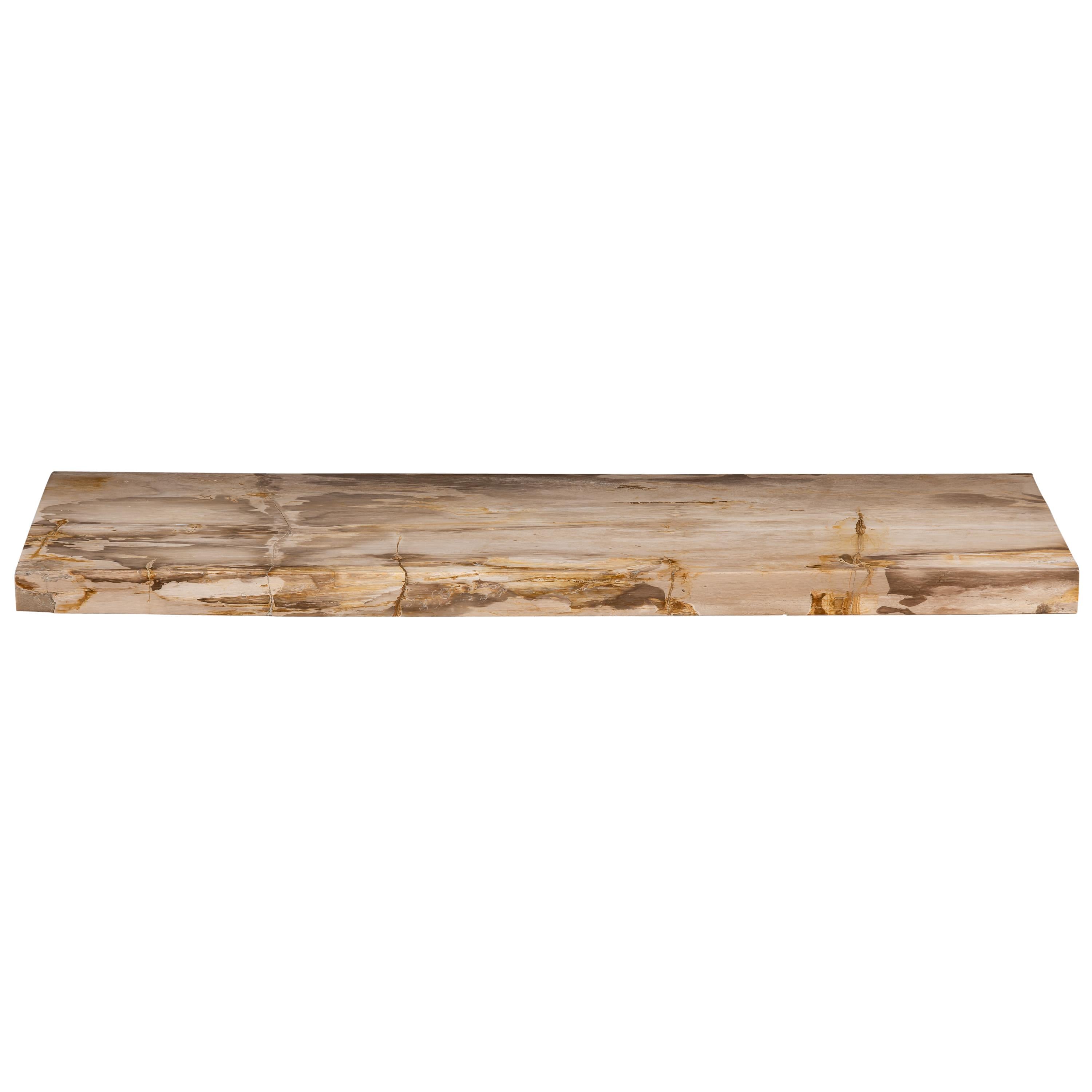 Konsol Fosil Ağaç -117 cm x 40 x 5 cm