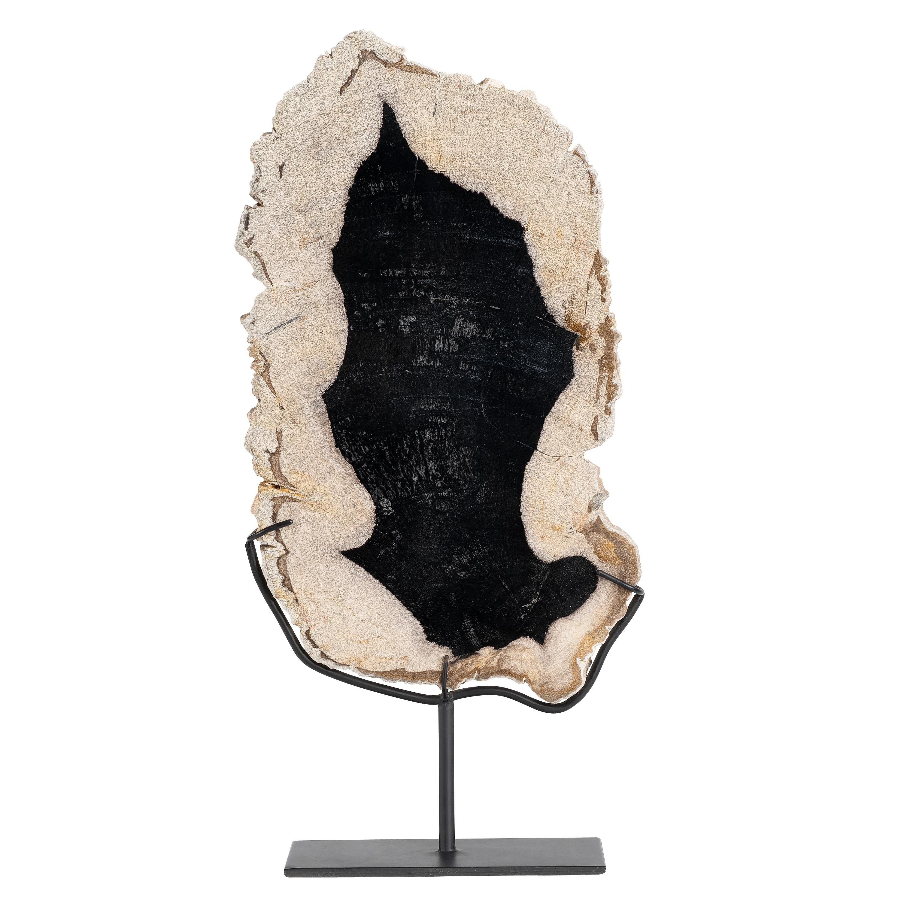 Standlı Dekoratif Aksesuar Fosil Ağaç-19 cm x 40 cm