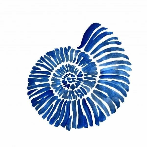 Maki Home 41x41 cm Mavi Salyangoz Desenli Kırlent Kılıfı - Deniz Marin Temalı Yazlık Dekoratif 