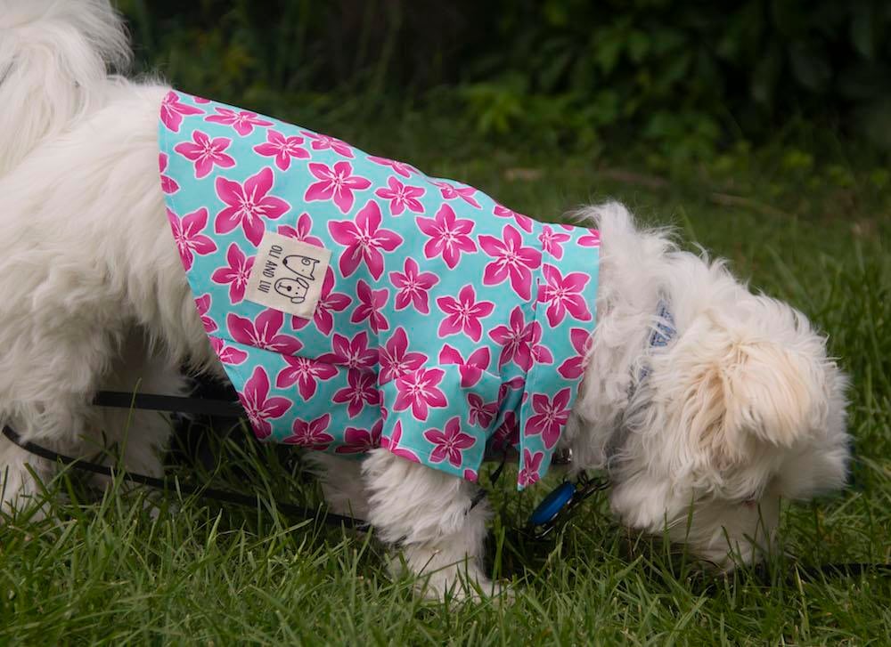 Çiçek Desenli Lila Köpek Gömleği – 4 Mevsim Zarif & Şık