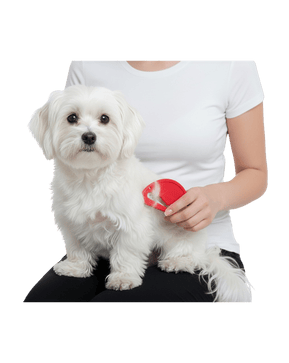 Oli & Lui Kıtık Açıcı Tüy Tarağı | Köpekler İçin Pratik Düğüm Açıcı Aparat – Karışık Renk