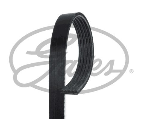 Direksiyon Pompa Kayışı Transit V.363 2.0D 17> Gates 5PK761SF