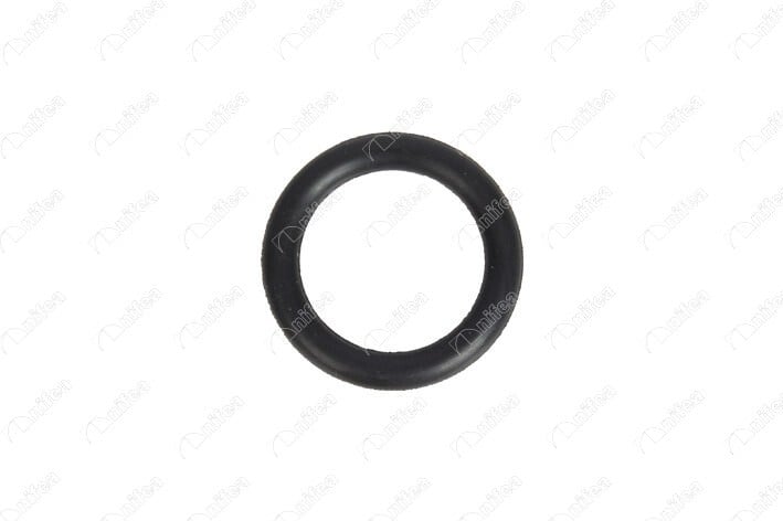 Emme Manifold Oringi C.Max Focus Dw6 206 307 Nıfea 19699