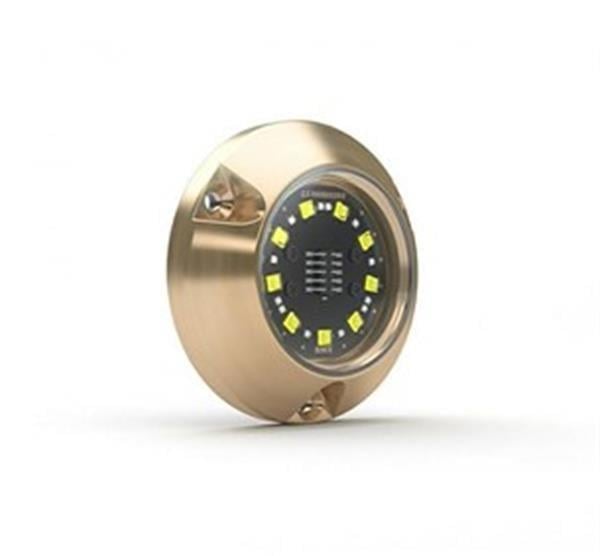 Lumishore SMX24