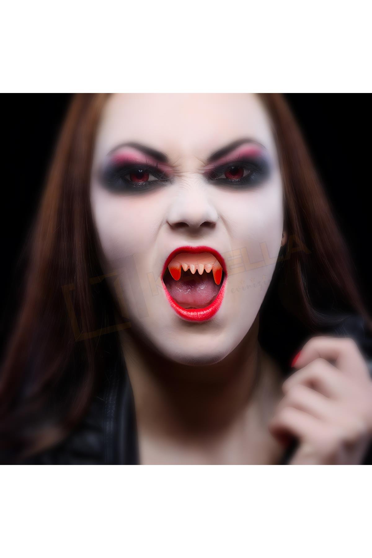 vampir-disi-ast6672--8077-.jpg