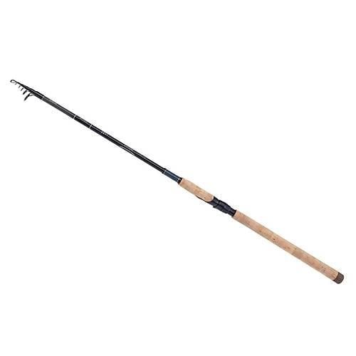 Shimano Catana FX Spinning Tele Moderate Fast 2,70m 10-30g 6pc