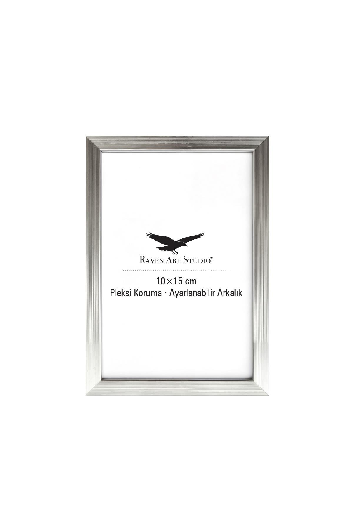 Ermitaj 10cm x 15cm Gümüş Resim Fotoğraf Belge Poster Evrak Çerçevesi Korumalı Kırılmaz Pleksi Cam