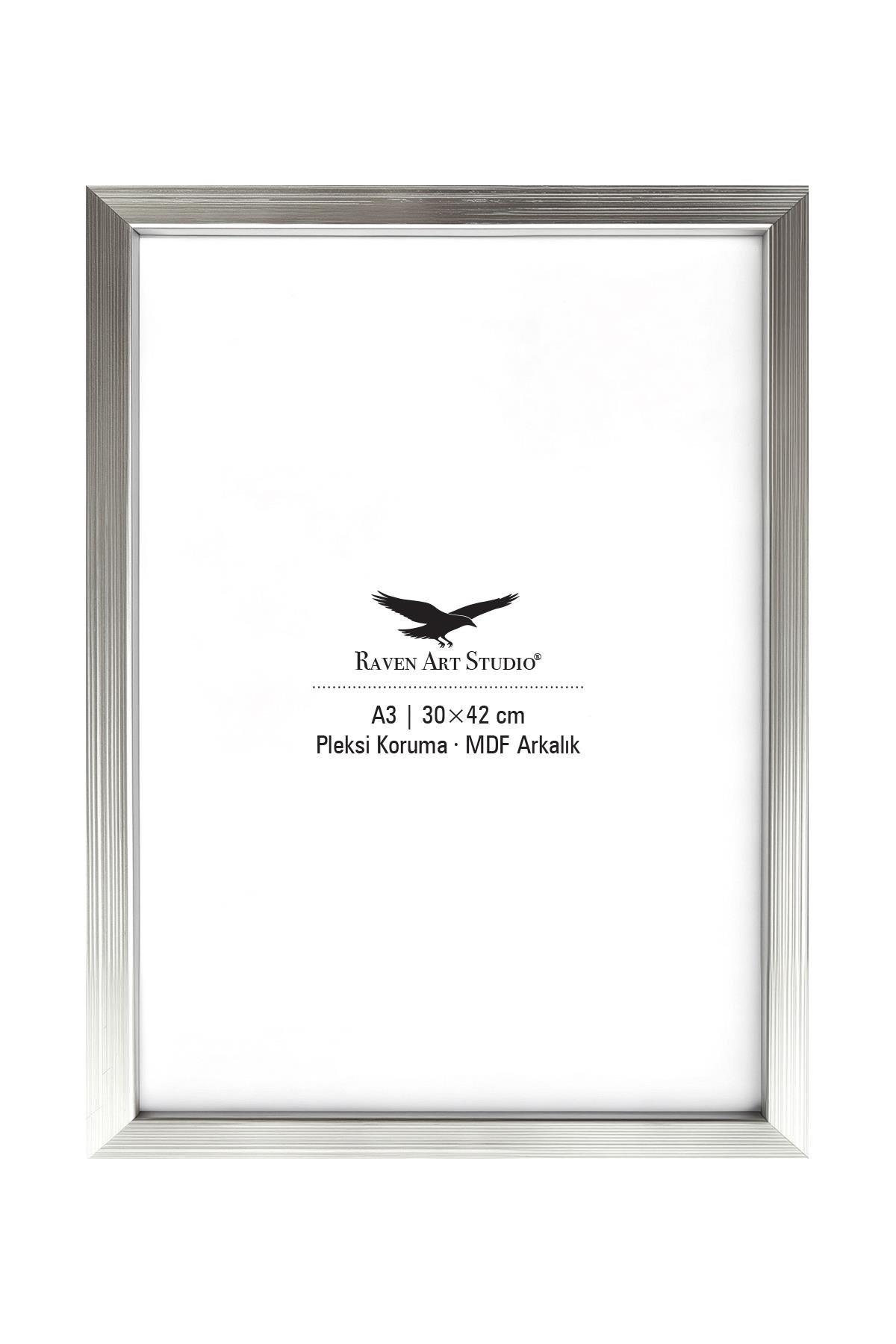 Ermitaj A3 Ebat 30cm x 42cm Gümüş Resim Fotoğraf Belge Poster Evrak Çerçevesi Korumalı Kırılmaz Pleksi Cam