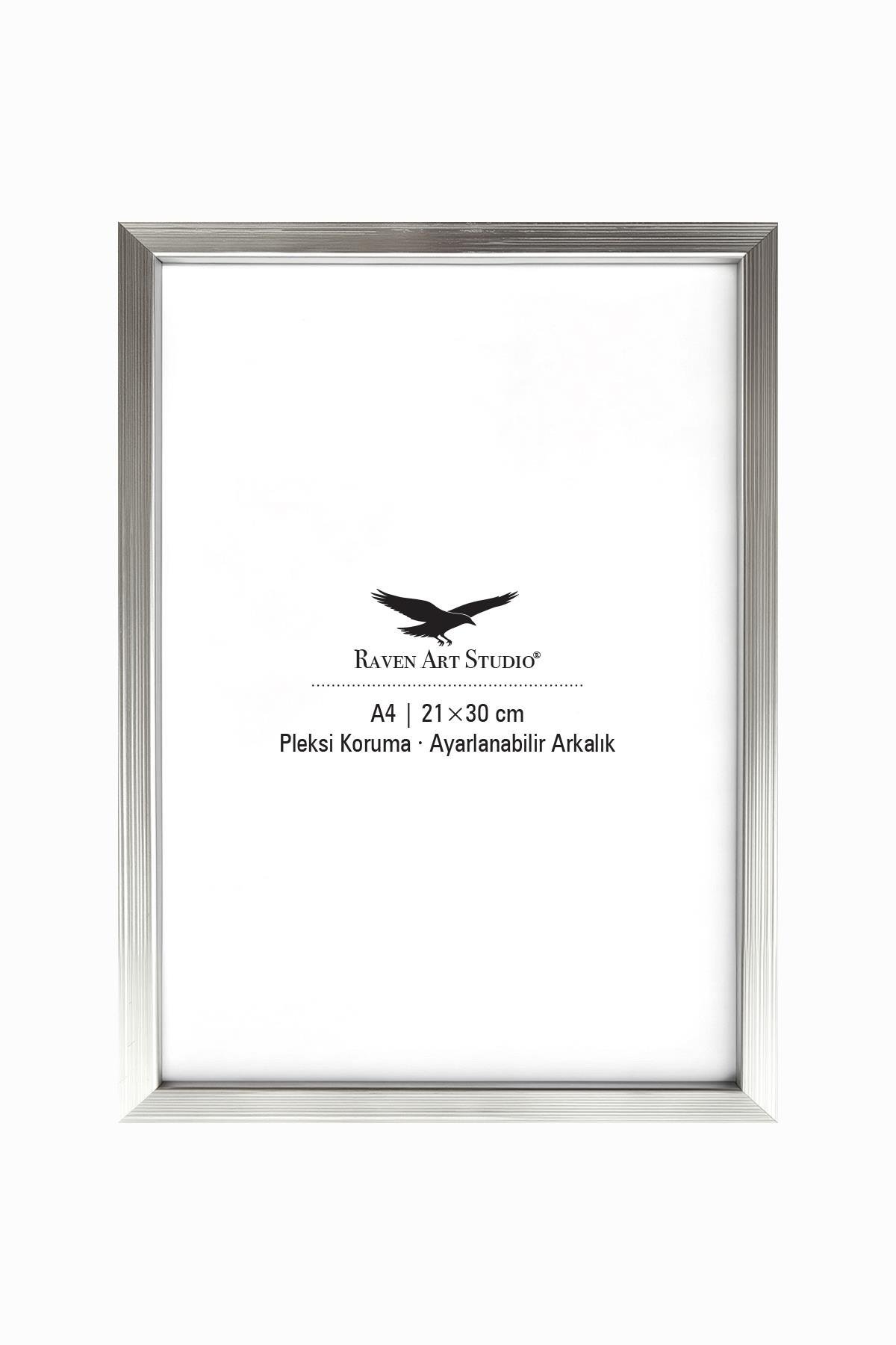 Ermitaj A4 Ebat 21cm x 30cm Gümüş Resim Fotoğraf Belge Poster Evrak Çerçevesi Korumalı Kırılmaz Pleksi Cam