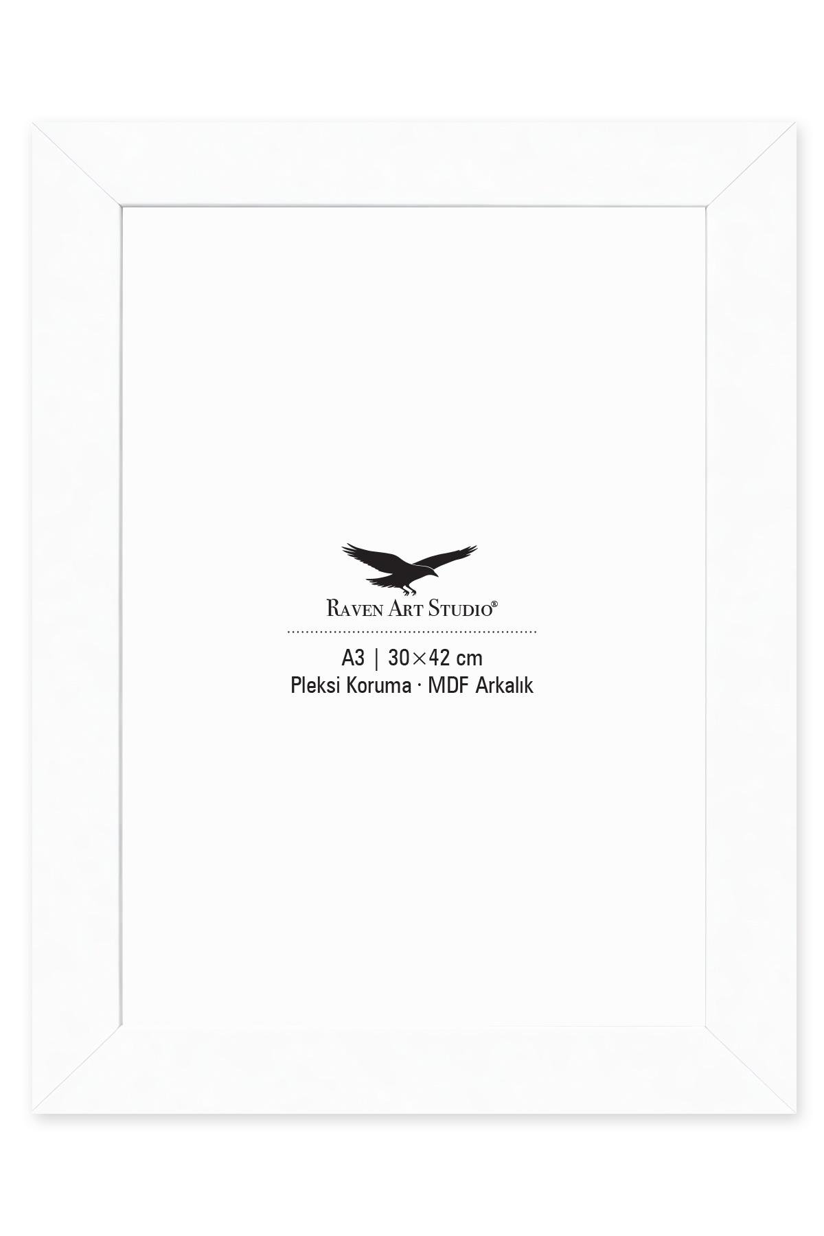 Modern A3-30x42cm Beyaz Korumalı Kırılmaz Pleksi Cam Resim Fotoğraf Belge Poster Evrak Çerçevesi