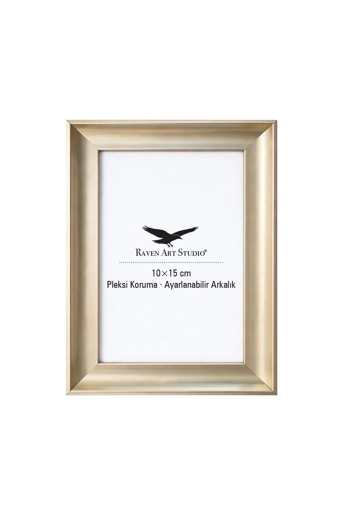 Pyramid 10x15cm Platin Resim Fotoğraf Belge Poster Evrak Çerçevesi Korumalı Kırılmaz Pleksi Cam