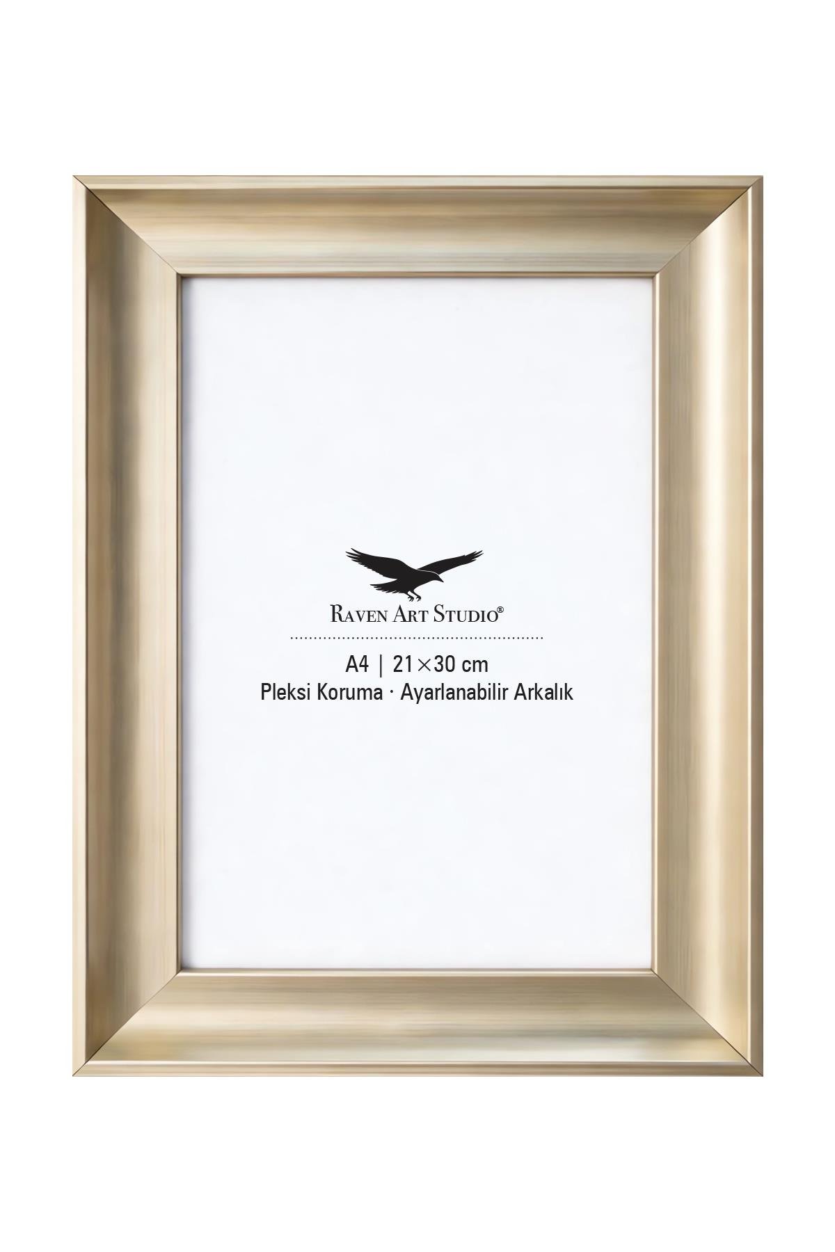 Pyramid A4-21x30cm Platin Resim Fotoğraf Belge Poster Evrak Çerçevesi Korumalı Kırılmaz Pleksi Cam