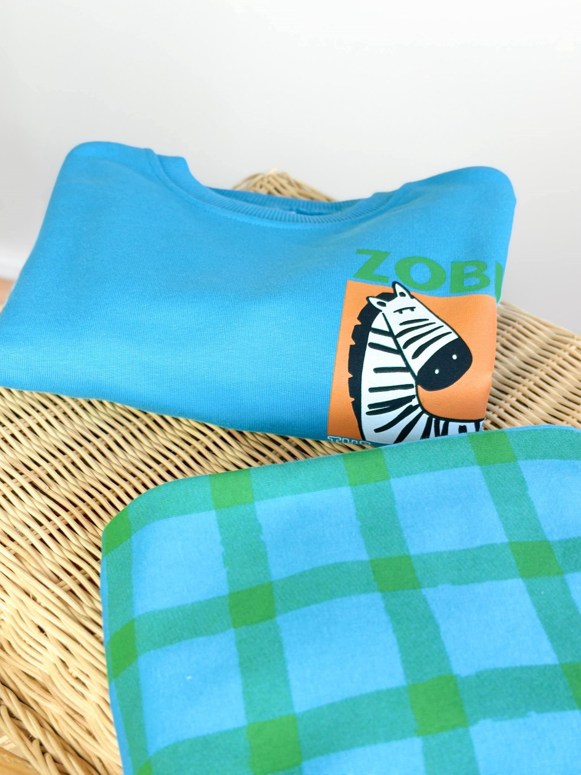 CARTOON ZEBRA SET