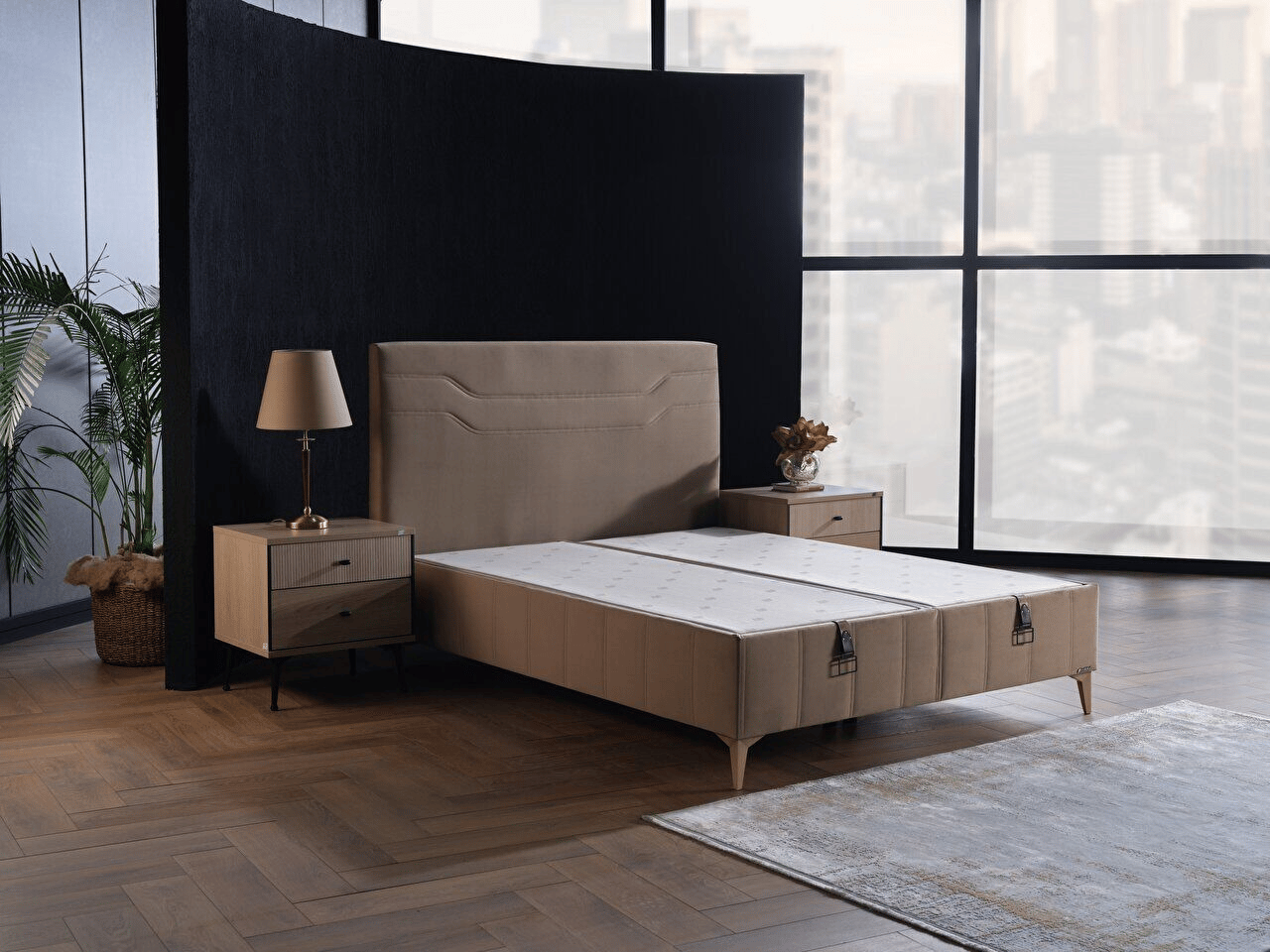 Alfa Kapitone Baza - Large - Vizon