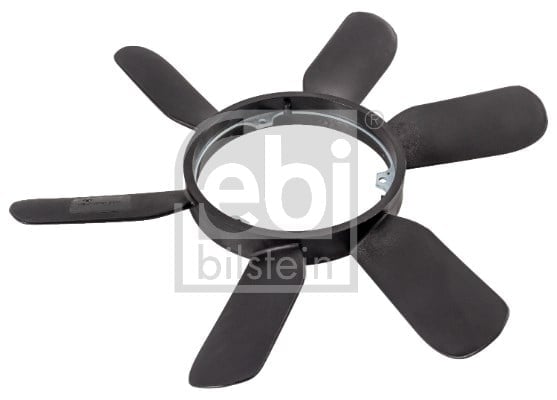 FAN GÖBEĞİ 6 KANAT