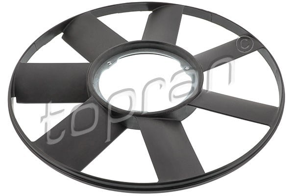 FAN GÖBEĞİ 7 KANAT