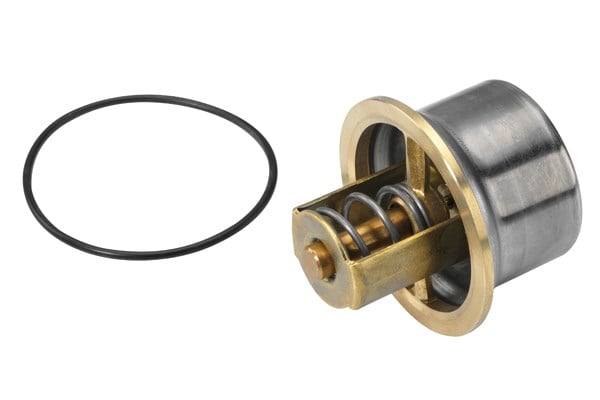 TERMOSTAT 80C
