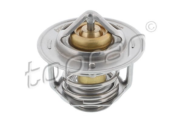 TERMOSTAT 89C