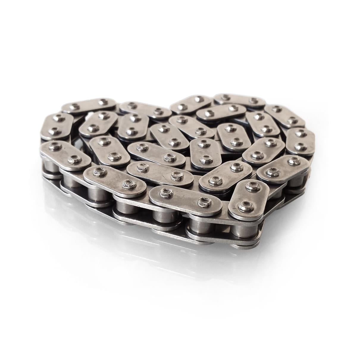 bartek 2118t313 1.8T 20V Oil Pump Drive Chain with Main Bearing Girdle Plate