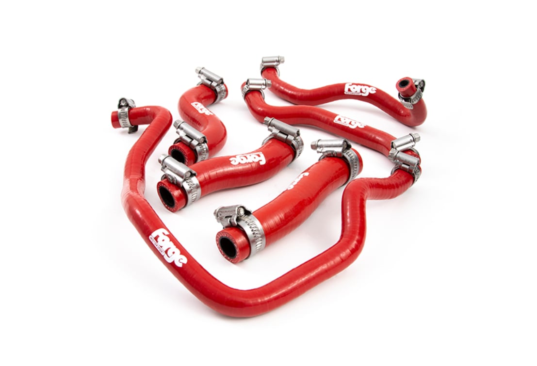 Forge Motorsport Soğutma Hortumu Kiti – Honda Civic Type R FK8 | FMKC020